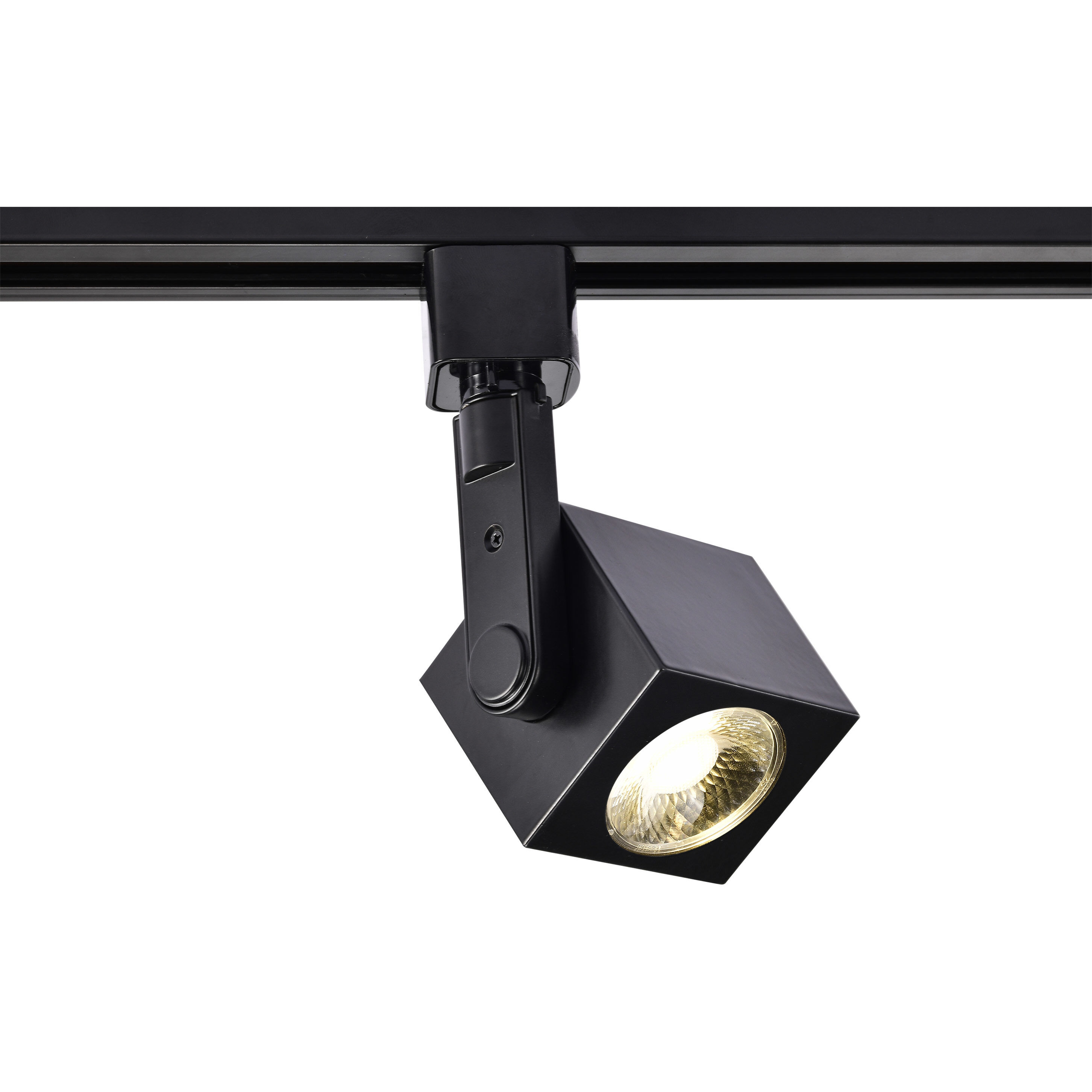 Brentwood 1 Light 120V Black Track Head Ceiling Light