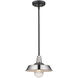 Burry 1 Light 10 inch Satin Nickel Exterior Convertible Pendant