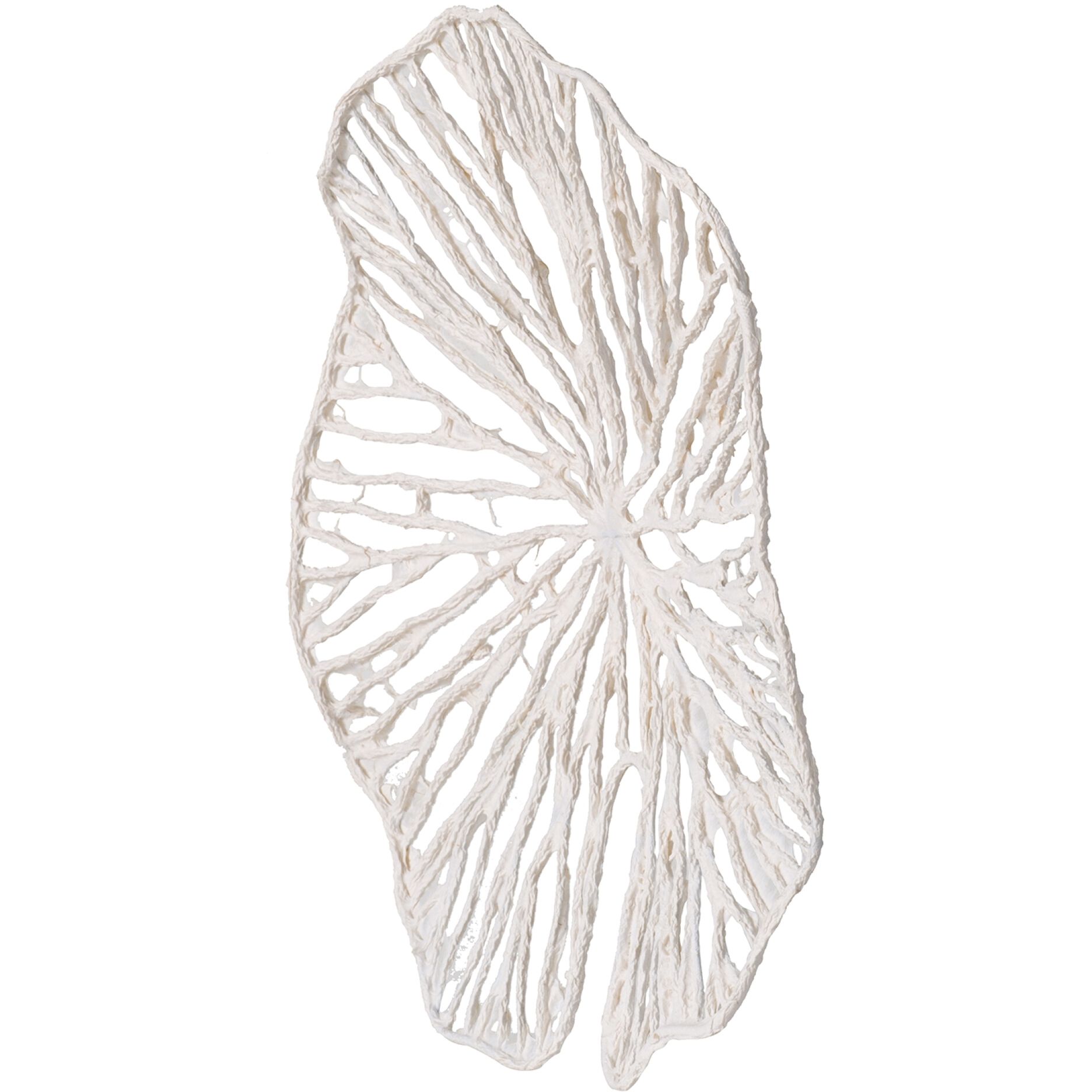 Anita White Wall Décor