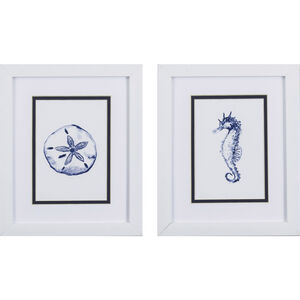 Clam Shell / Sand Dollar Seahorse Blue Framed Art