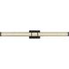 Ivaan Wall Sconce Wall Light