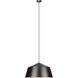Encase 1 Light 22 inch Bronze Pendant Ceiling Light