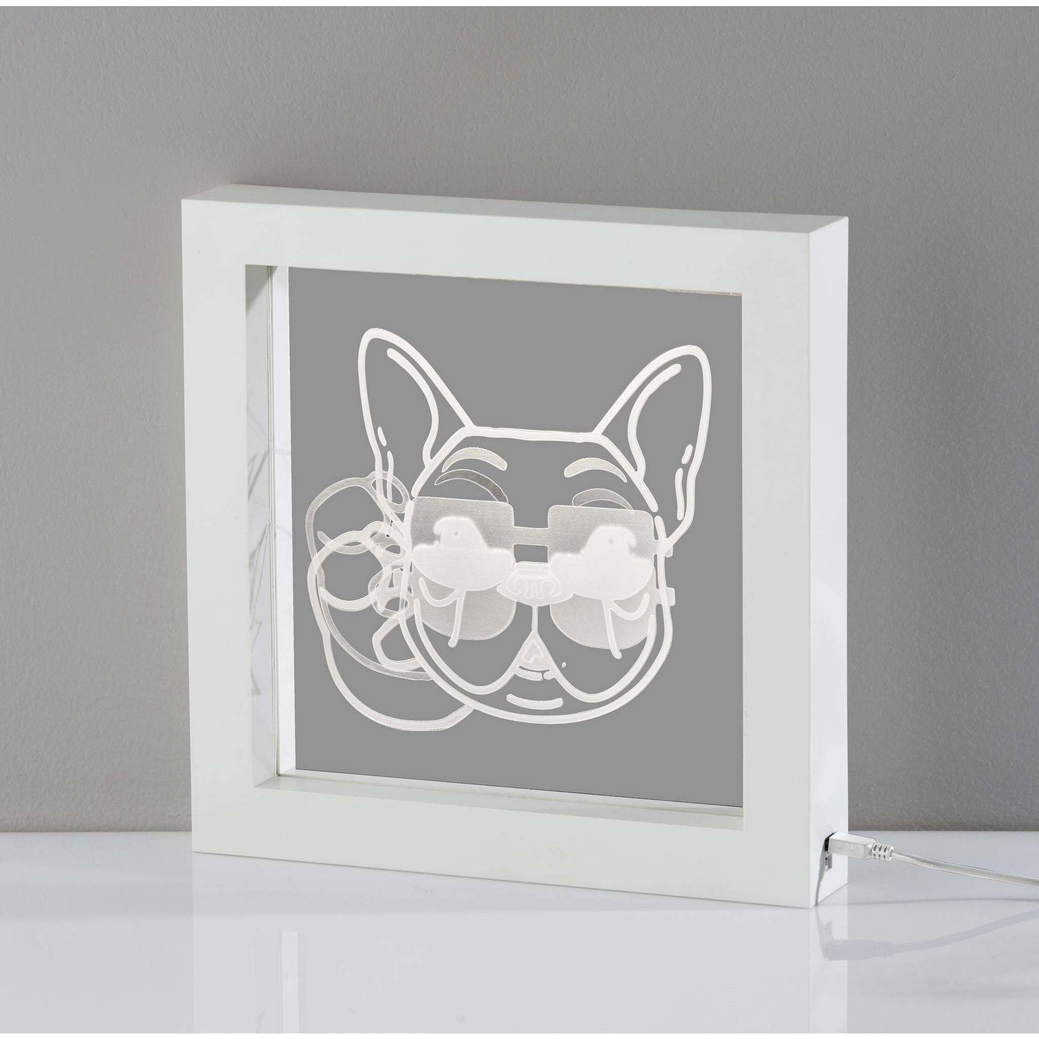 Cool Dog Video 9 inch 0.3 watt White Light Box Portable Light, Simplee Adesso