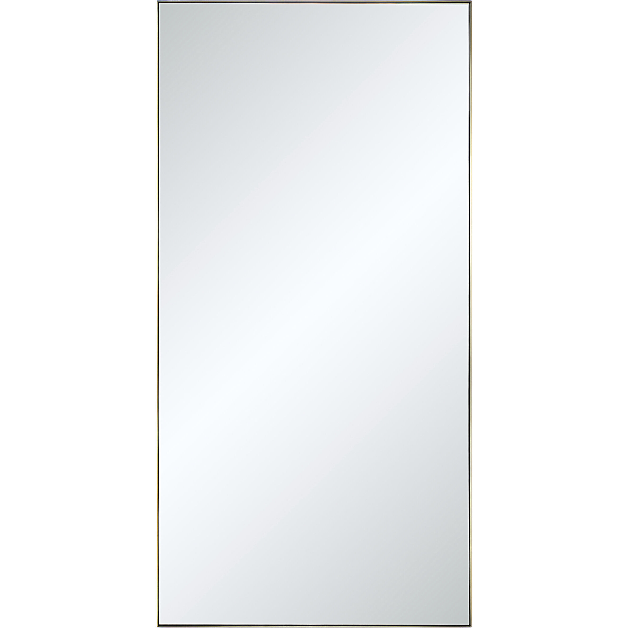 Orrin 60 X 30 inch Champagne Wall Mirror