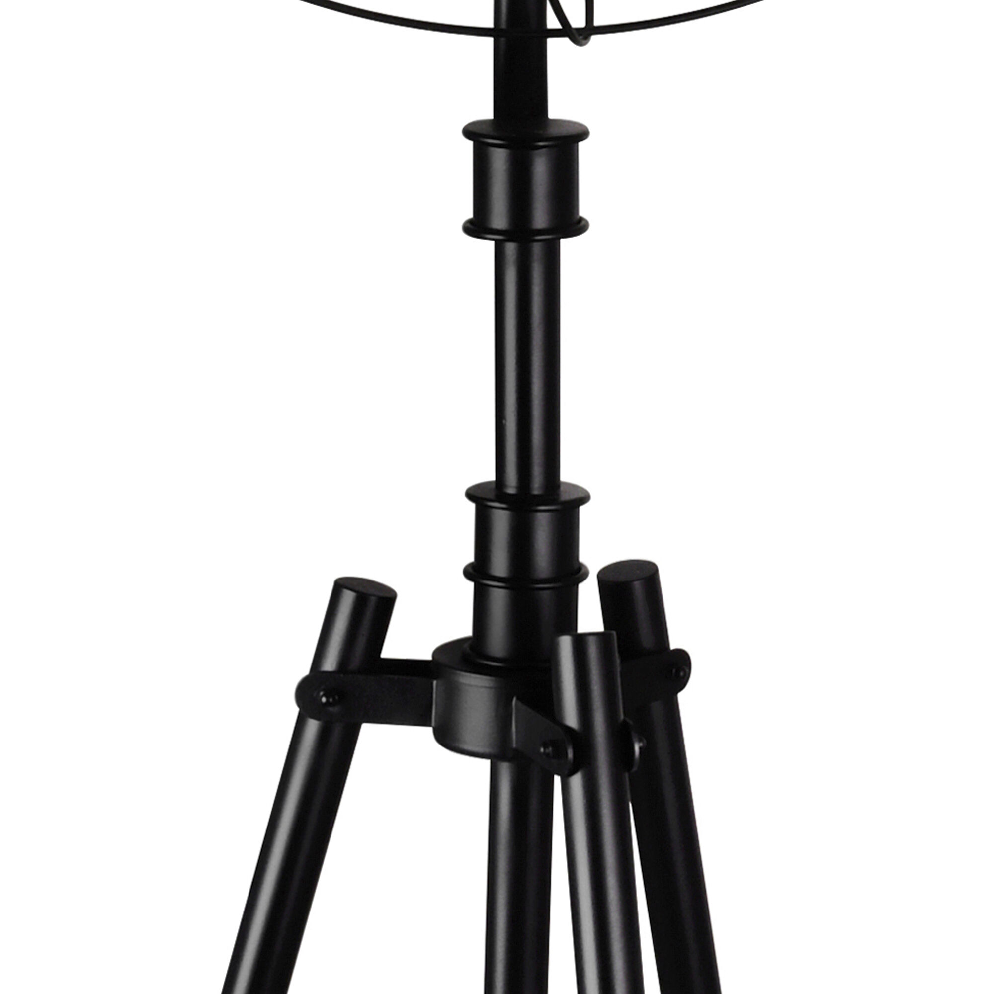 Pamela 68 inch 60.00 watt Black Floor Lamp Portable Light
