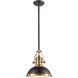 Chadwick 1 Light 13 inch Satin Brass with Matte Black Pendant Ceiling Light