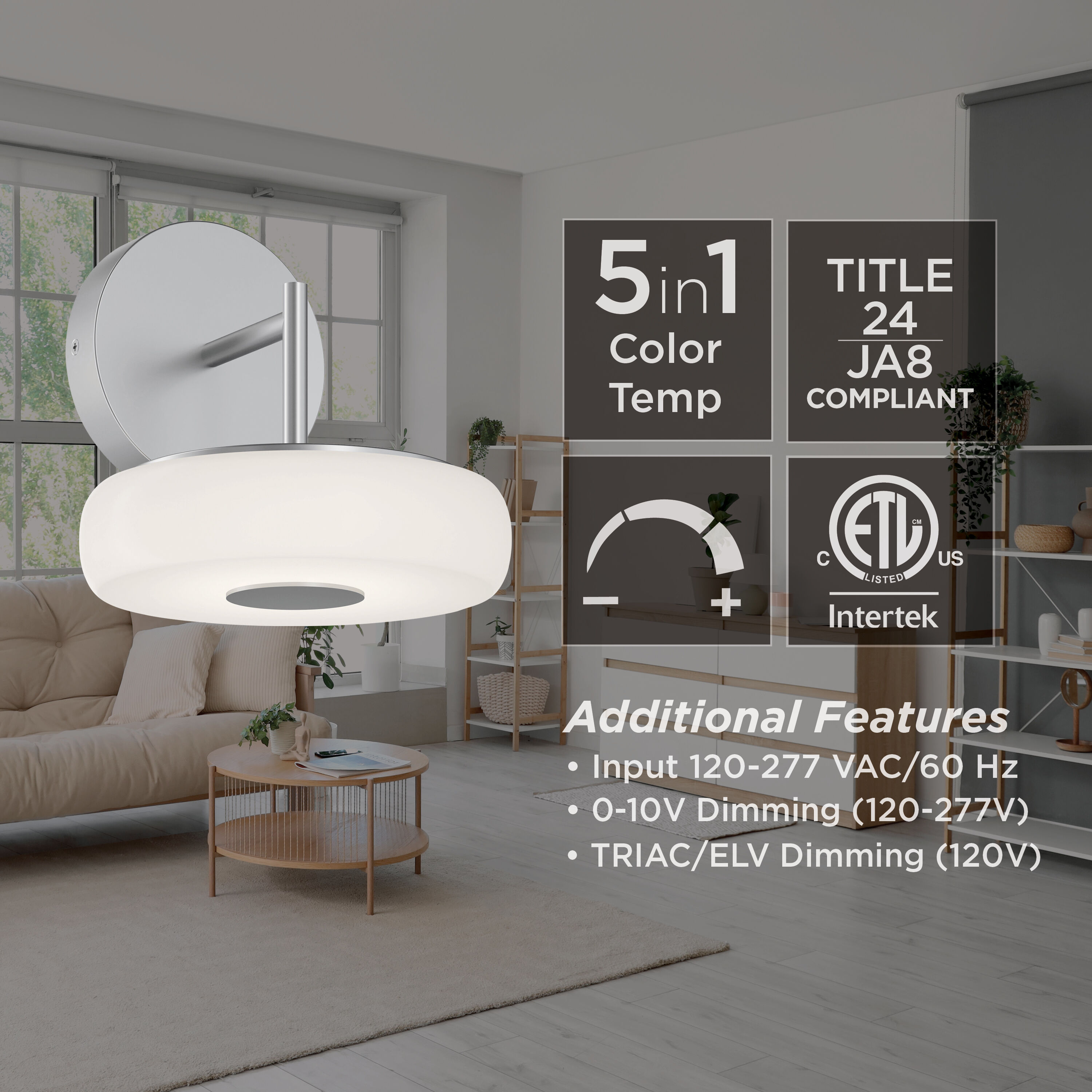 June Wall Sconce Wall Light