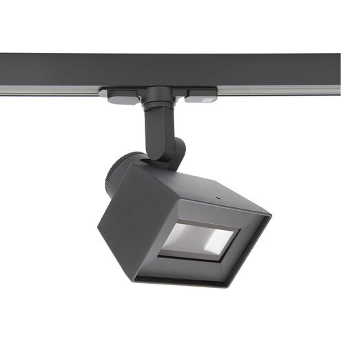 LED5028 LED Module Platinum Adjustable Wall Wash in 2700K, W Track