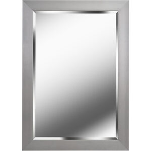 Drake 41 X 29 inch Brushed Steel Wall Mirror