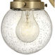 Poppy LED 15 inch Heritage Brass Vanity Light Wall Light