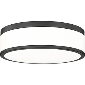 Ballord LED 12 inch Matte Black Flush Mount Ceiling Light