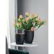 Anita 9.8 X 7.9 inch Flower Vase