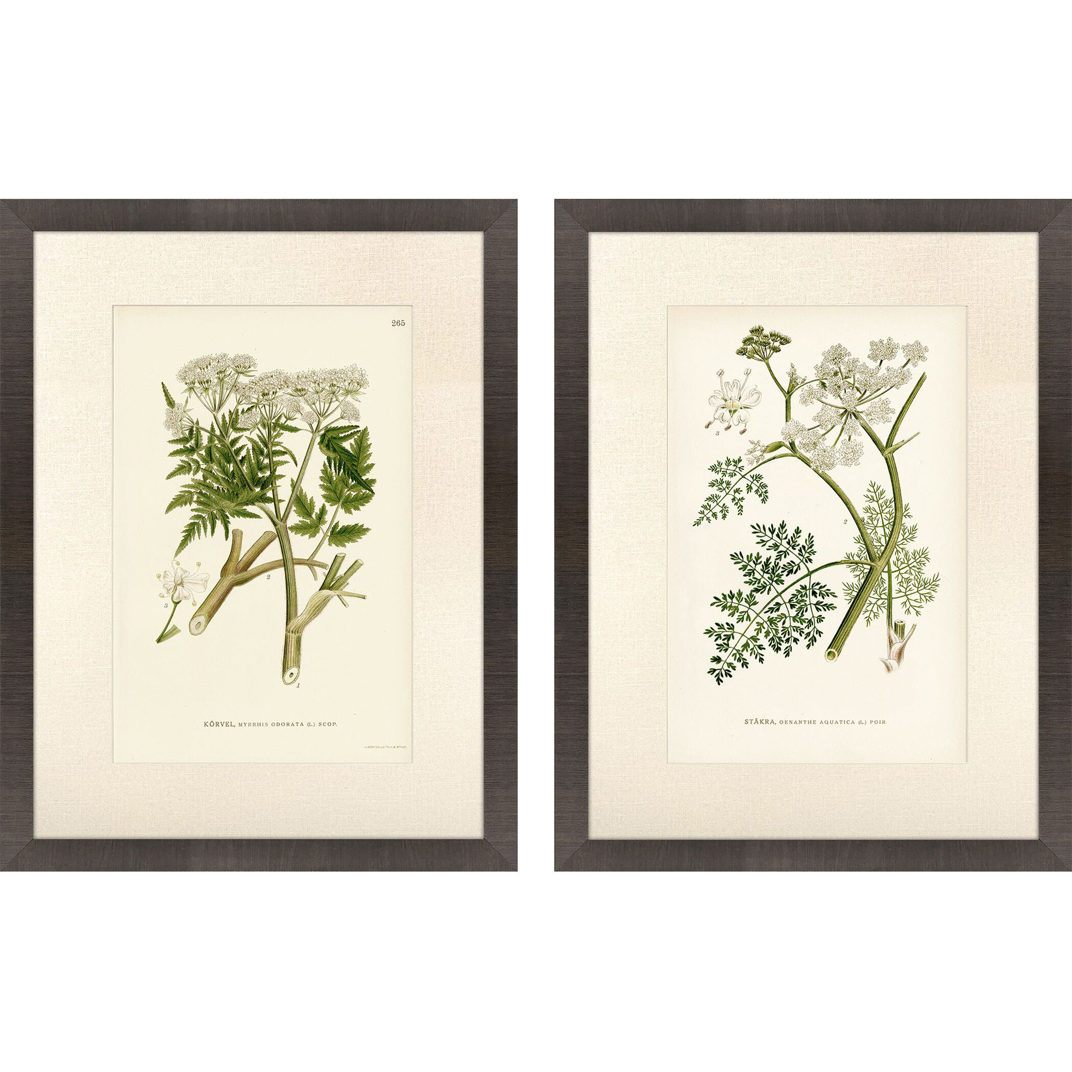 Queen's Lace Green and Neutral Framed Art, Propac