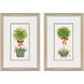 Ribbon Topiary Green and Black and Red and White Framed Art, Propac