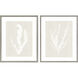 Oceania Seaweed White and Beige and Neutral Framed Art