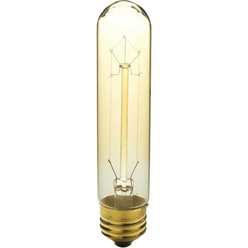 Lamps Incandescent T9 E26 40 watt 120 Antique Bulb