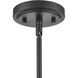 Ashford 1 Light 10 inch Matte Black Mini Pendant Ceiling Light