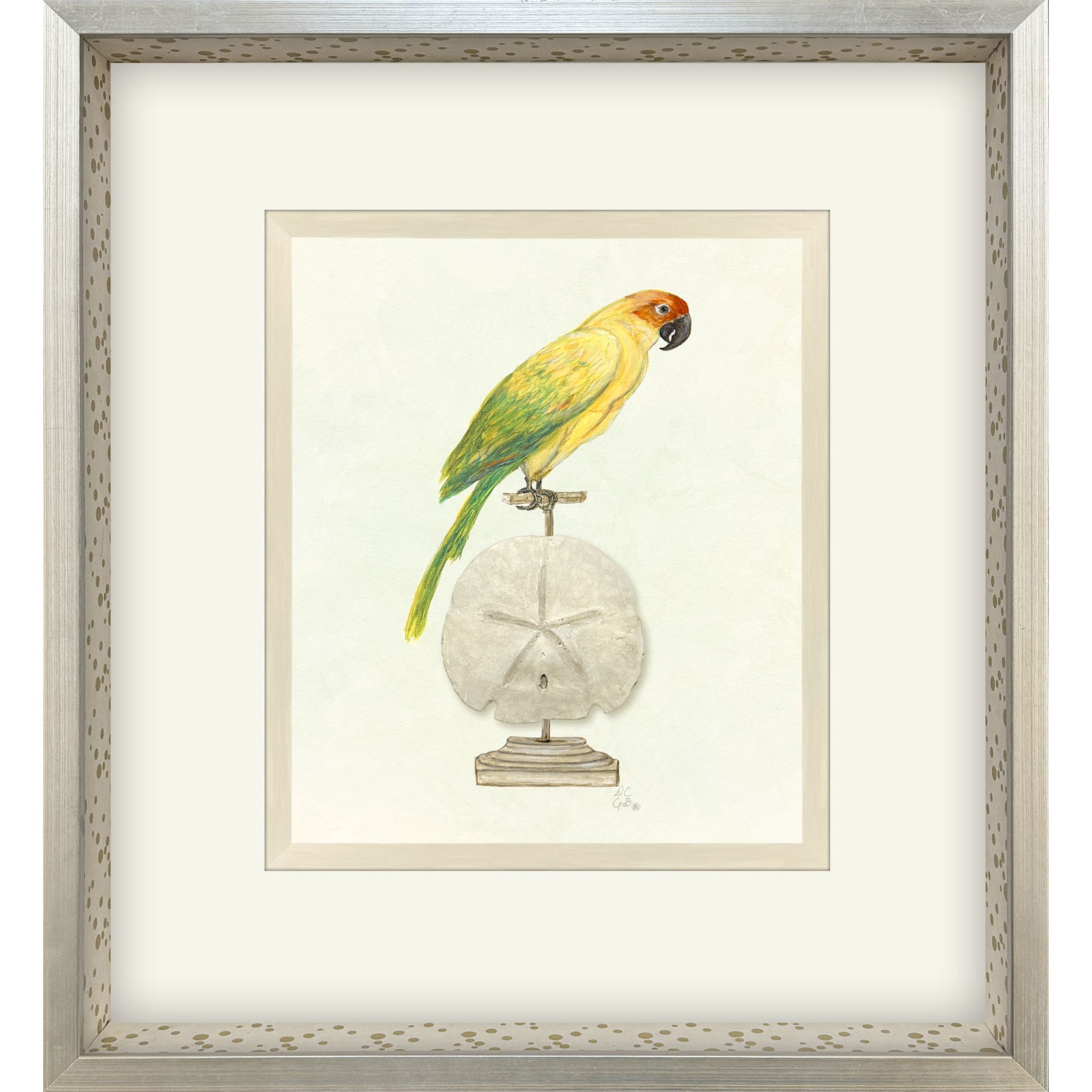 Treasure Parrot Blue and Green and Multi and Yellow Framed Art