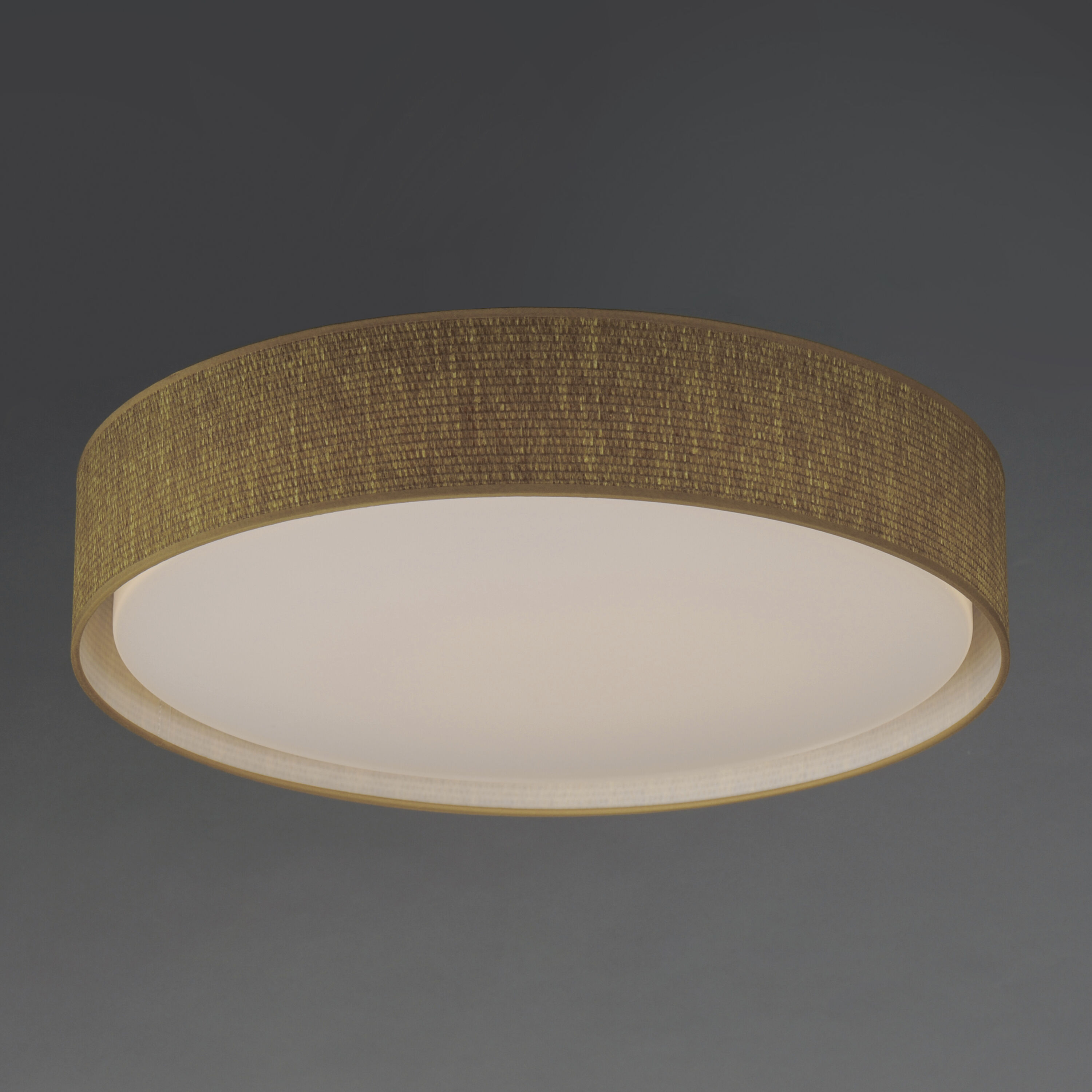 Prime LED 25 inch Flush Mount Ceiling Light