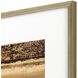 Abstract Collection Brown Framed Art
