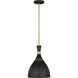 ED Ellen DeGeneres Joan 1 Light 12 inch Midnight Black Pendant Ceiling Light