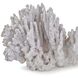 Coral Natural Coral Objet, Large