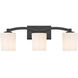 Whitney 3 Light 24.00 inch Bathroom Vanity Light