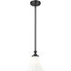 Fleur 1 Light 8 inch Matte Black Pendant Ceiling Light
