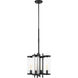 C&M by Chapman & Myers Eastham 4 Light 16.25 inch Textured Black Outdoor Chandelier