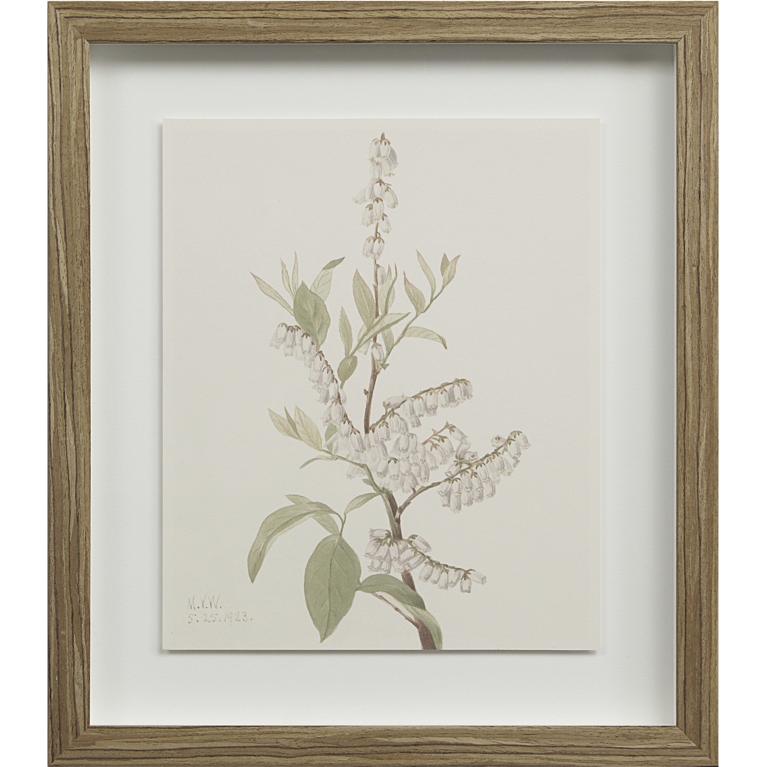 Crema 15 X 13.25 inch Printed Artworks, Set of 9