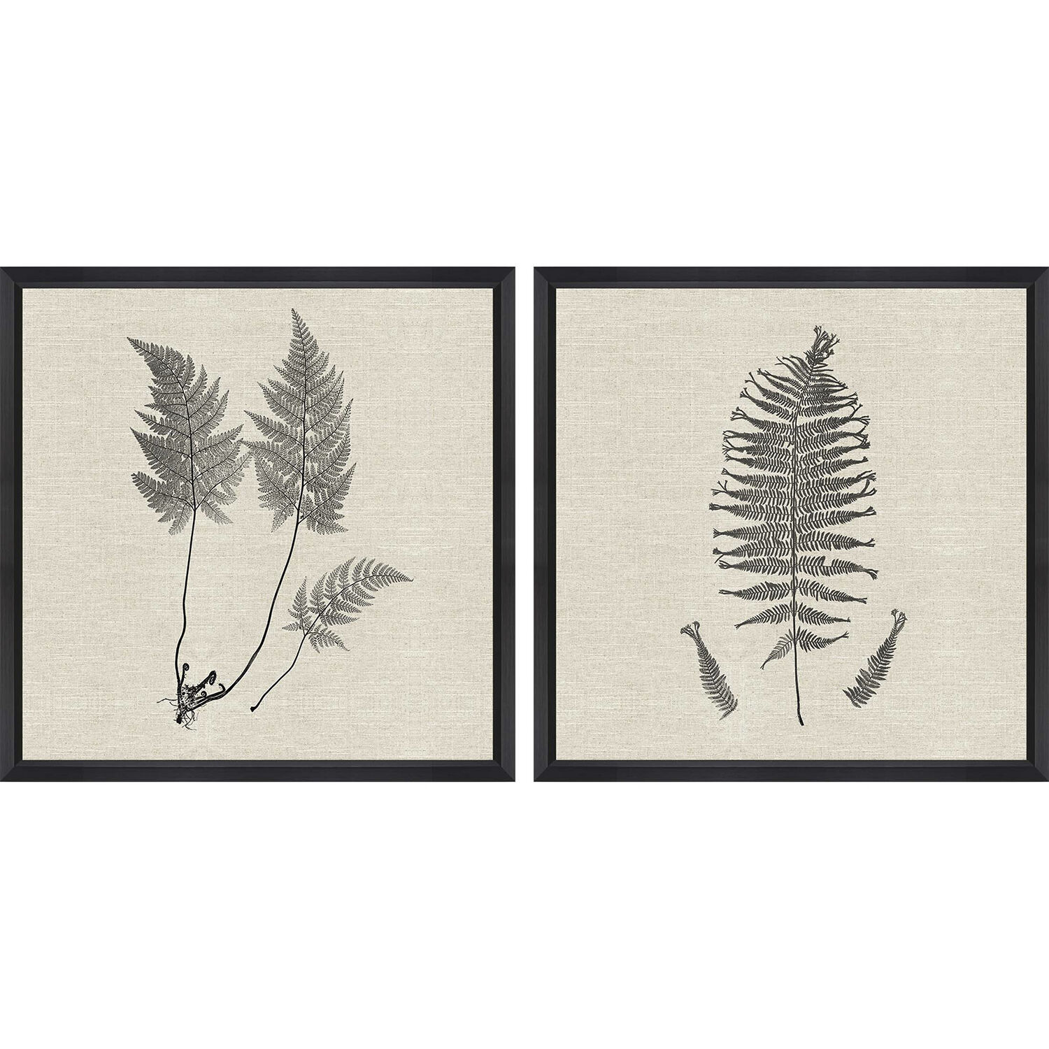 Modern Ferns Neutral and Black and Beige Framed Art