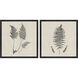 Modern Ferns Neutral and Black and Beige Framed Art