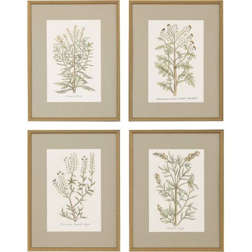 Florals Collection Green Framed Art