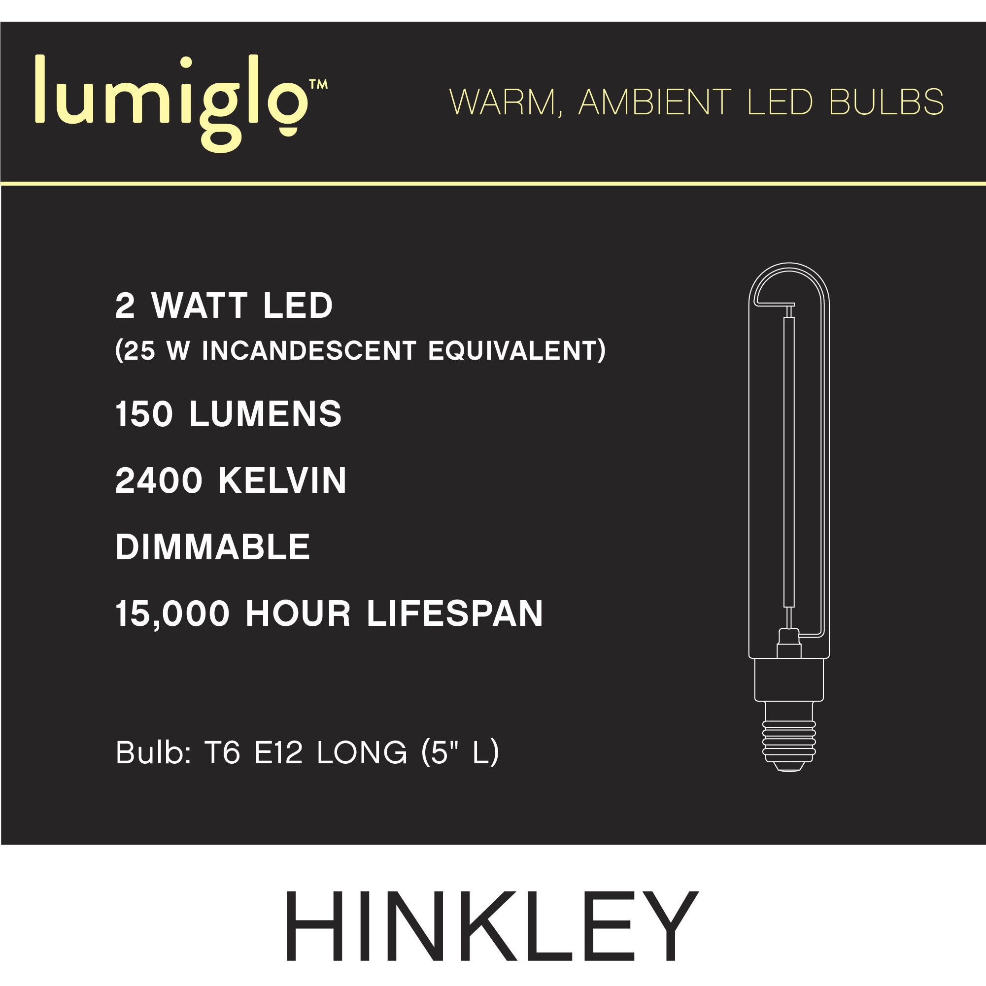 LumiGlo Cand. 2.00 watt 120v 2400 LED Bulb