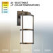 Lantern LED 14 inch Bronze Outdoor Wall Light