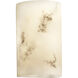 LumenAria Wall Sconce Wall Light in Incandescent