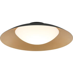Caravon Wall Sconce Wall Light