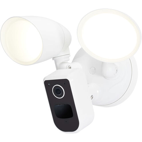 Starfish Outdoor Security Light