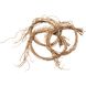 Tail Coil Natural Object