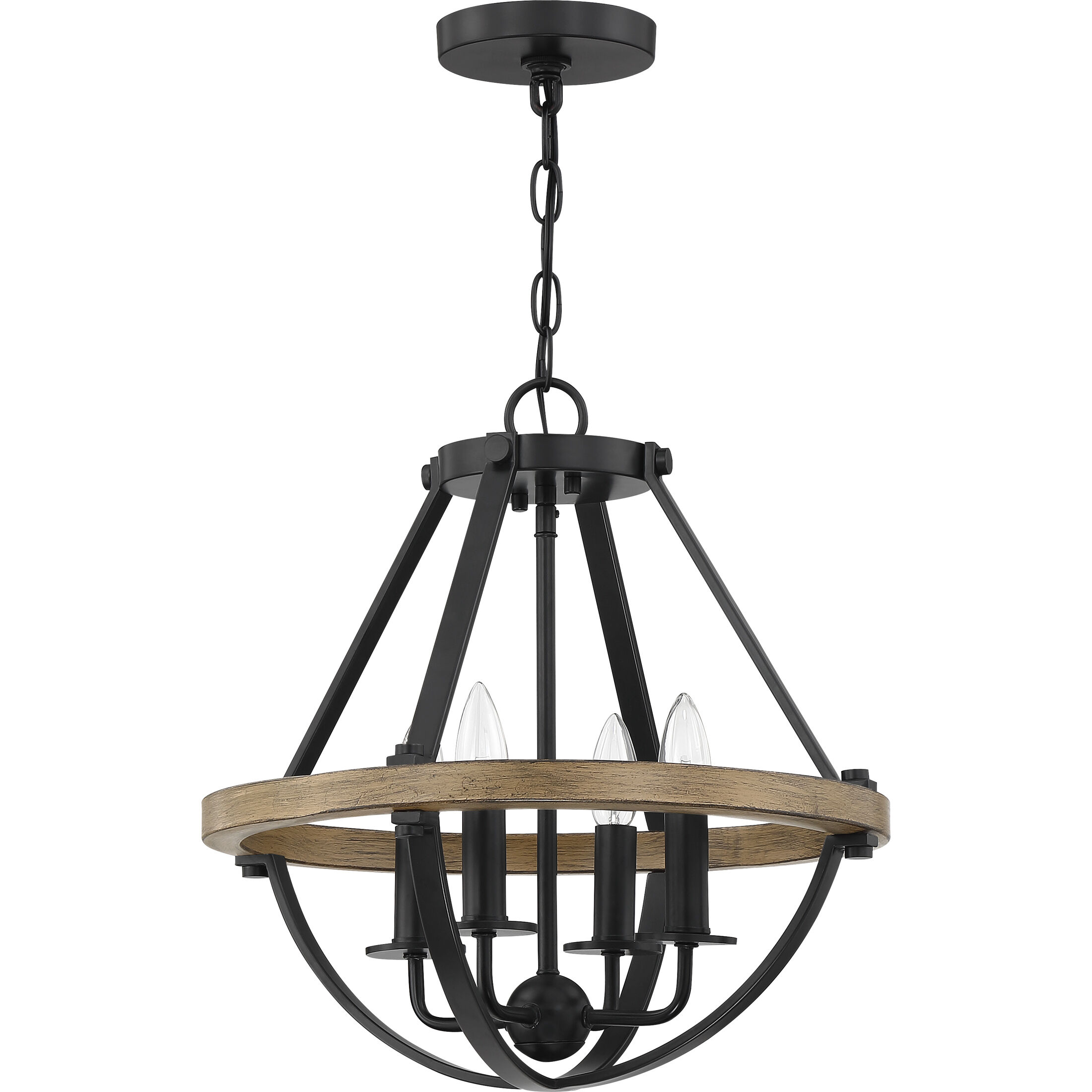 Bartlett 4 Light 16 inch Earth Black Pendant Ceiling Light