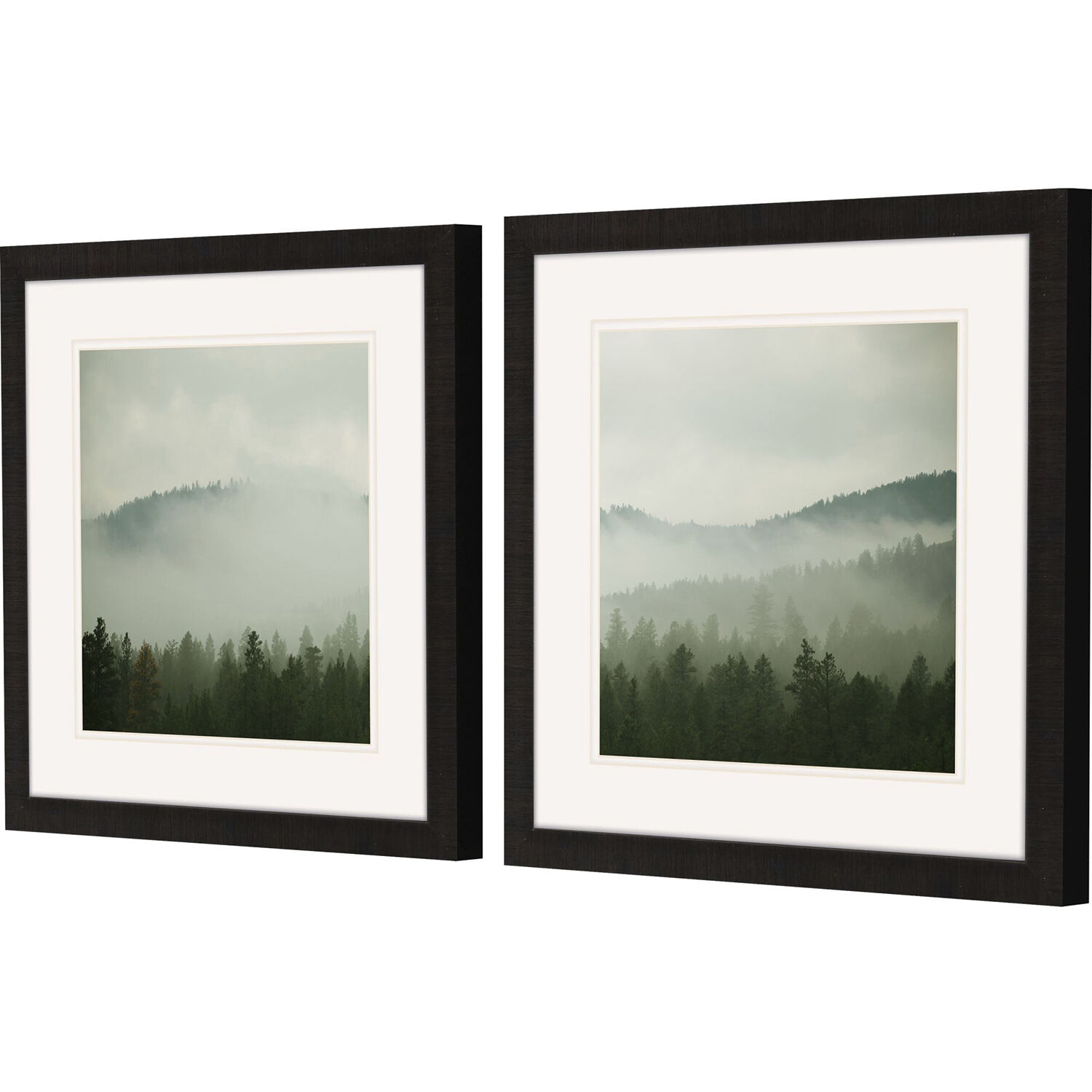 Photography Green Framed Art, Propac