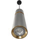 Cicada LED 3 inch Knurled Light Grey with Brass Pendant Ceiling Light