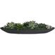 Verde Succulent Black and Green Centerpiece In Bowl