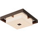 Shadow Box 2 Light 12 inch Coastal Bronze and Coastal Burnished Steel Outdoor Flush Mount in Coastal Bronze/Coastal Burnished Steel, Small