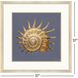 Coastal Delight / Ocean Treasure Blue and Beige and Brown Framed Art