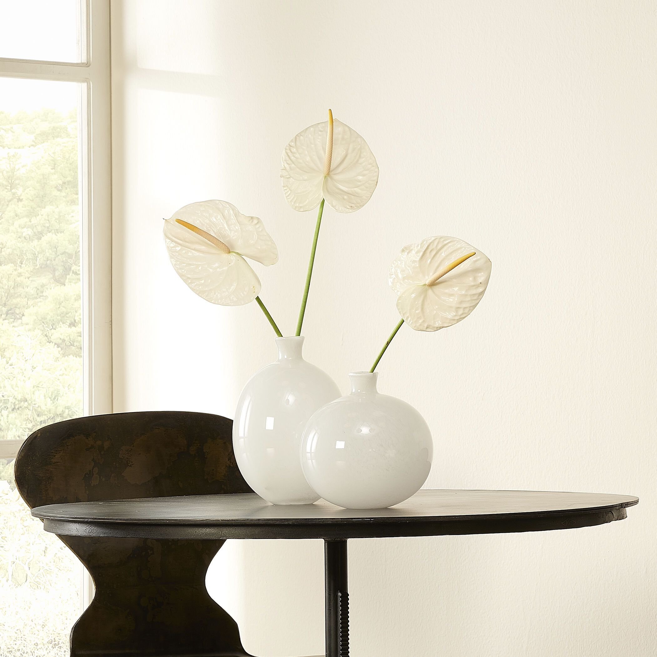 Minx 10 X 7.75 inch Vases in White Glass, Set of 2