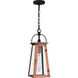 Quoizel Carolina 1 Light 7 inch Aged Copper Outdoor Lantern, Large CLN1907AC - Open Box