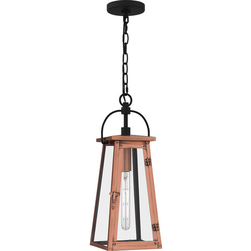 Quoizel Carolina 1 Light 7 inch Aged Copper Outdoor Lantern, Large CLN1907AC - Open Box