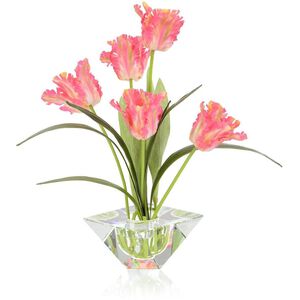 Morning Tulips Botanical, Fresh Water Look