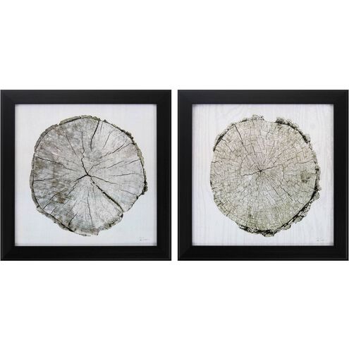 Naturals Collection Neutral Framed Art